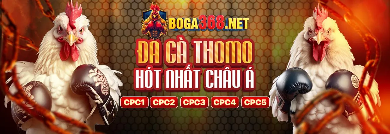 Đăng ký tài khoản Sinbet để nhận khuyến mãi hấp dẫn